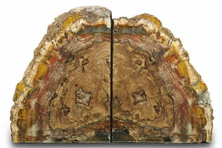 Tall, Colorful Petrified Wood Bookends - Madagascar #274839